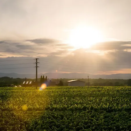 Ferienwohnen Im Ziegelfeld *