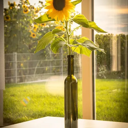 Ferienwohnen Im Ziegelfeld Apartmán