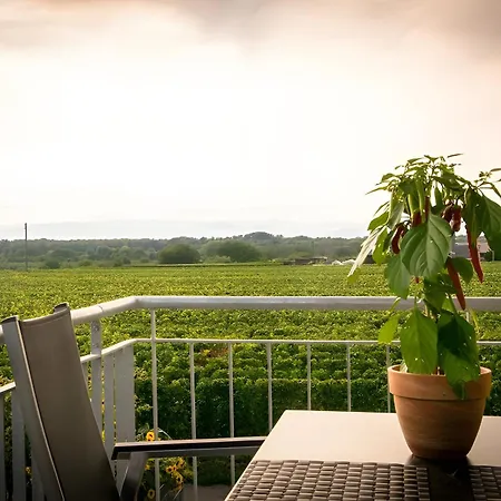 Ferienwohnen Im Ziegelfeld * Niederrotweil