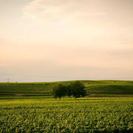 Apartmán Ferienwohnen Im Ziegelfeld