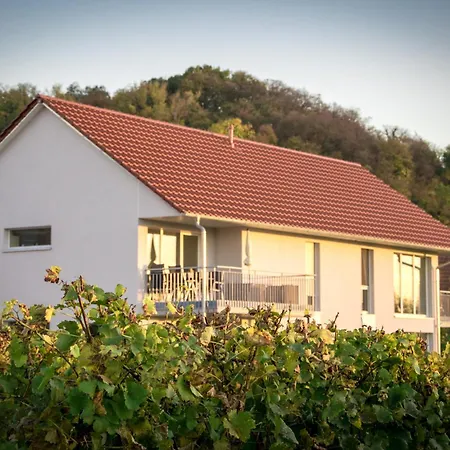 Ferienwohnen Im Ziegelfeld Apartment Niederrotweil
