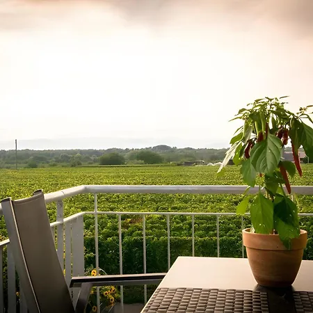 Ferienwohnen Im Ziegelfeld *