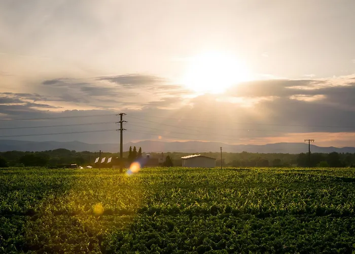 Ferienwohnen Im Ziegelfeld