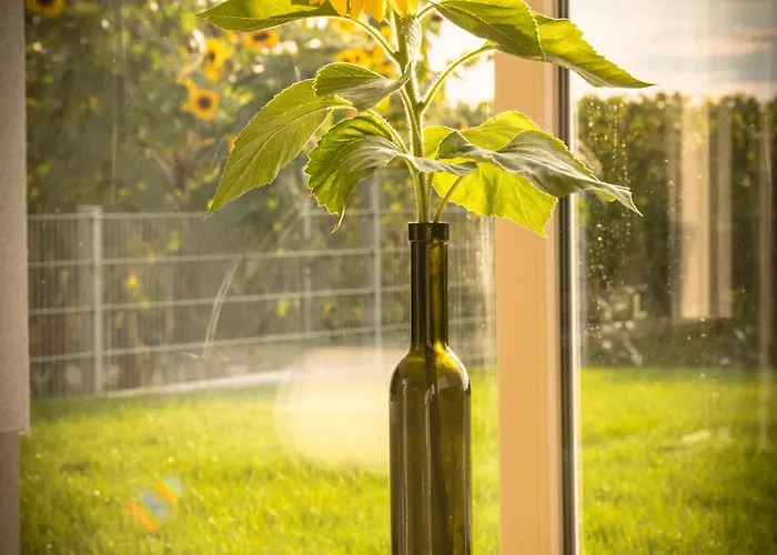 Ferienwohnen Im Ziegelfeld Appartement