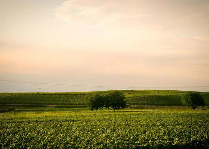 Appartement Ferienwohnen Im Ziegelfeld